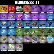 gliders-comp