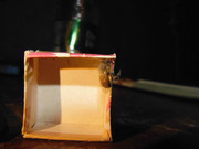 30.3.cool bugs 2 III