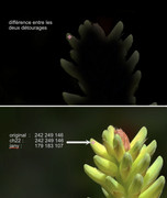 [Image: analyse-detourages.jpg]