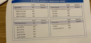 IMG-8832
