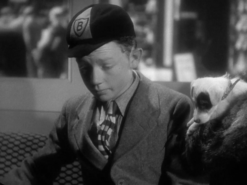 vlcsnap-2023-07-30-17h01m02s944