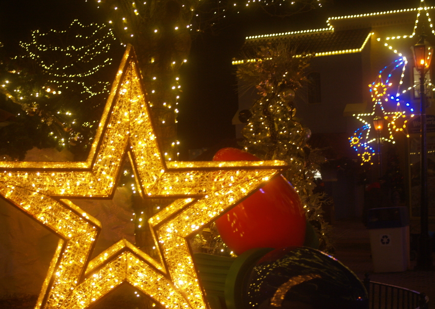 Share Holiday Pictures from your City - 2019 Edition. - www.tombraiderforums.com