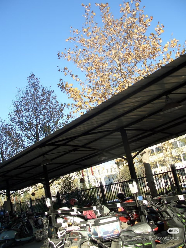 photo 12 2025 12 24 16 13 57