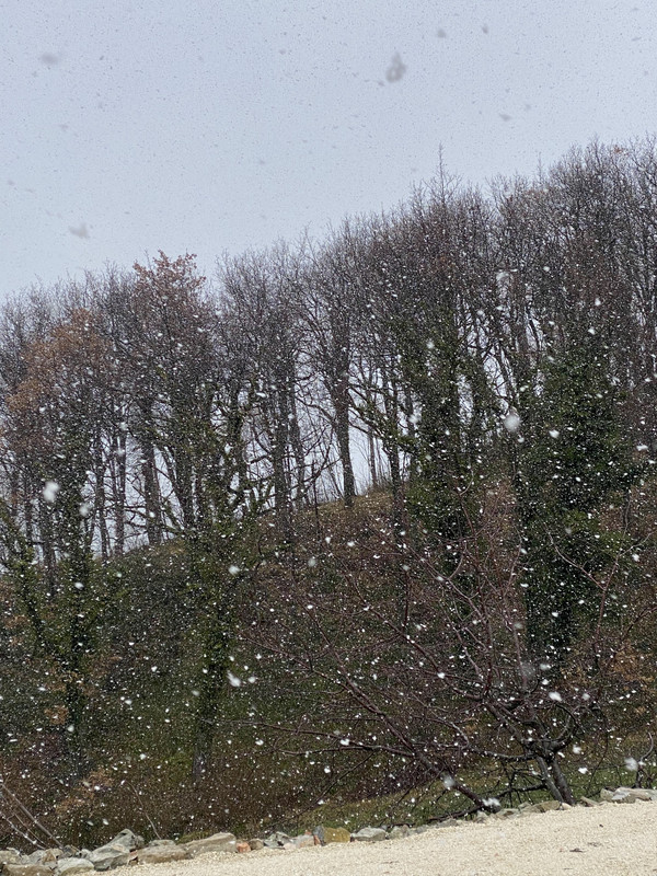 4C93918C-2588-4B52-BD06-5B08A1639E26