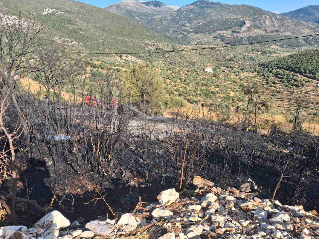 εικόνα_Viber_2025-09-10_17-51-00-168