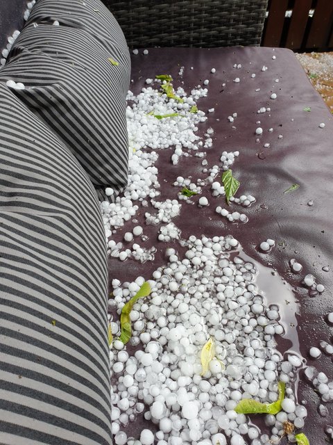 272-C2868-C958-426-E-9930-BF300970-EC9-C