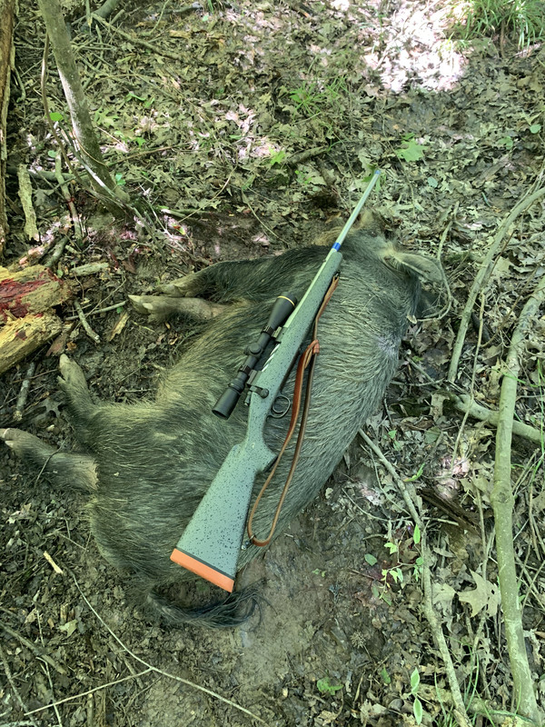 E23D41AD-C455-4D65-89CB-B6BD2CC2D725