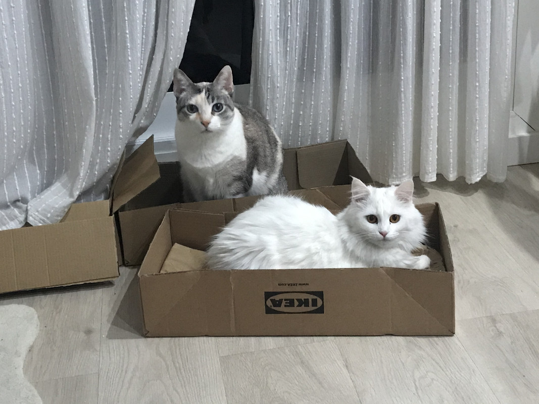 789EB3AE-1024-4B30-96D6-D5F5A33E0F64