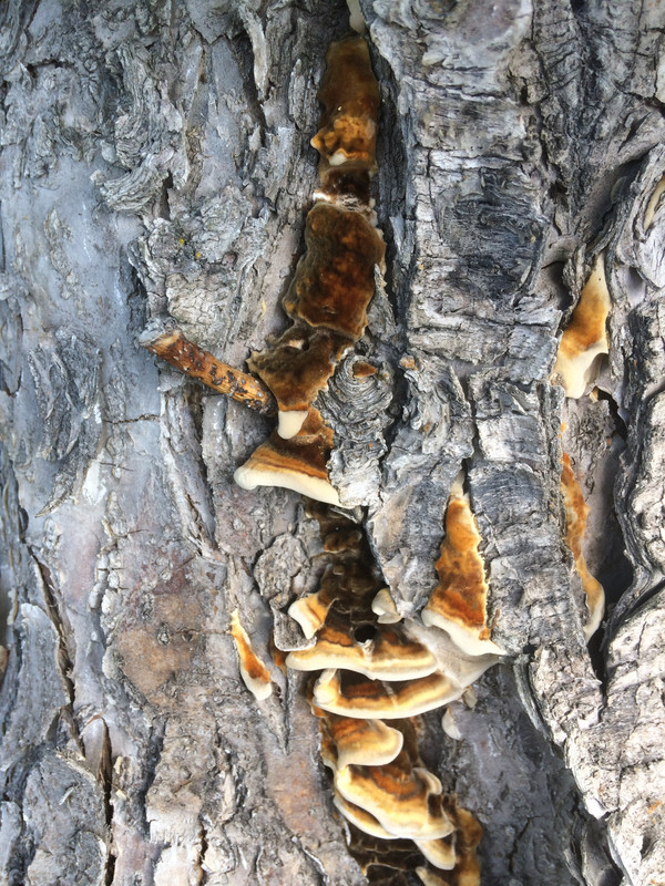 F5FD93A0-4243-4CB6-A0FB-2F2EBF6DA9BE