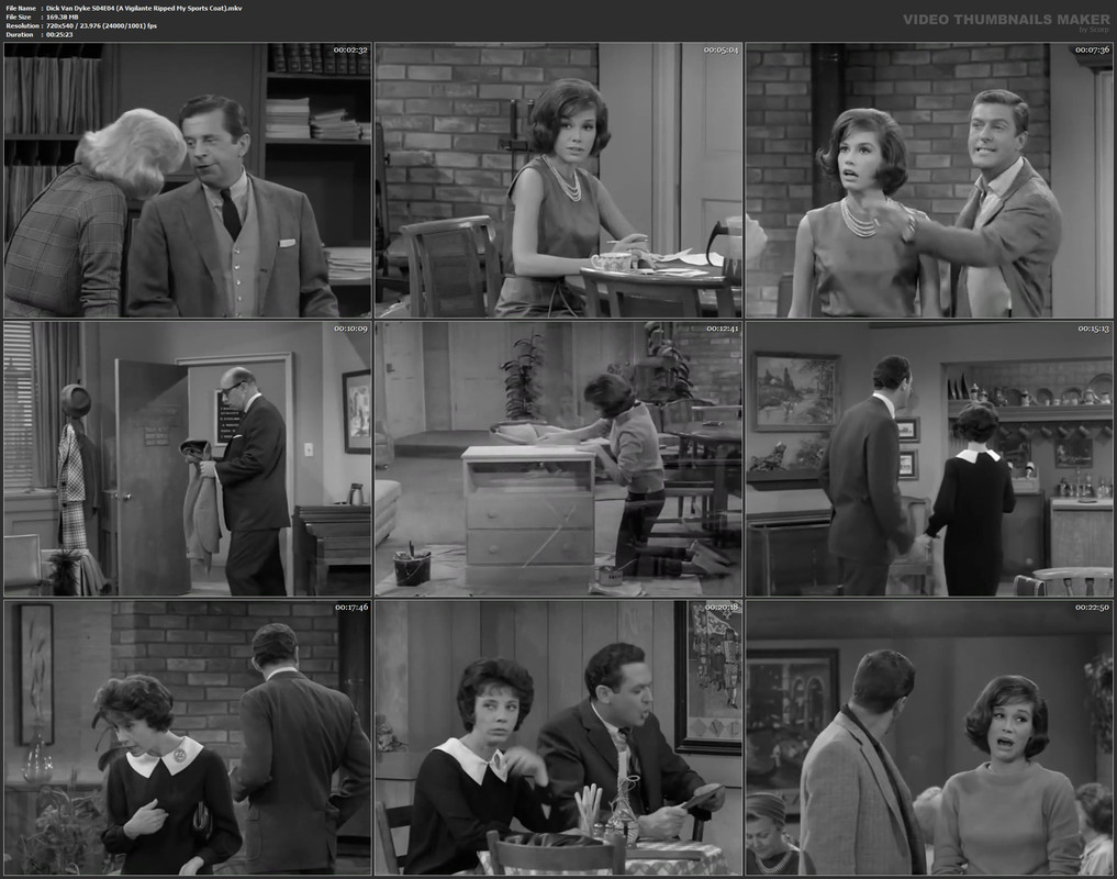 Dick Van Dyke S04E04 (A Vigilante Ripped My Sports Coat).mkv