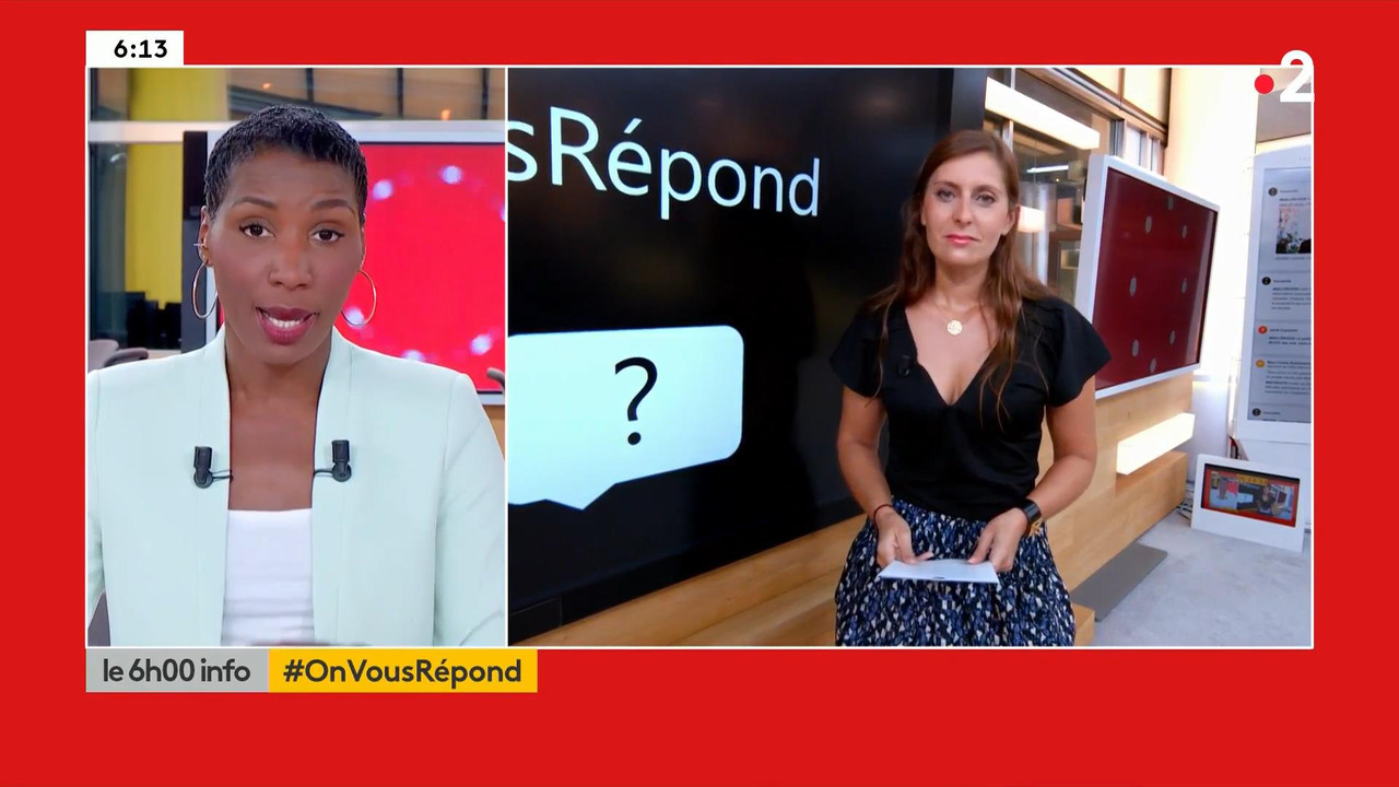 Lise Vogel 110820.mp4_snapshot_01.54_[2020.08.11_17.38.57]