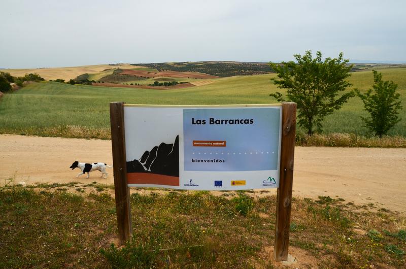 Barrancas de Burujón-2015/2025 - Toledo y sus pueblos-1996/2026 (26)