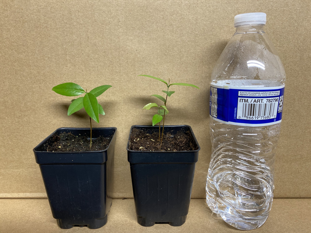 38469947-15C8-460C-B630-B825D9013407