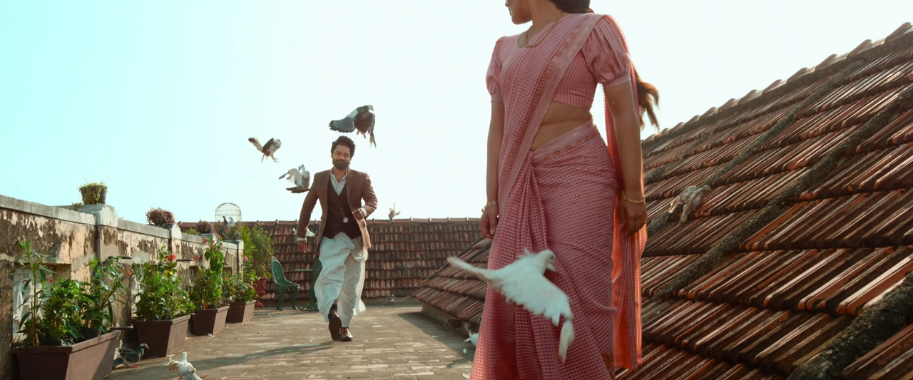 vlcsnap-2024-01-14-10h48m39s373