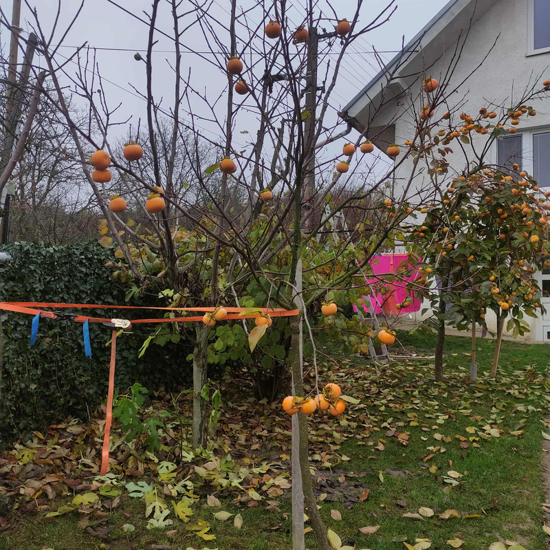 582121125 1525362981836495 4408432423382215490 n