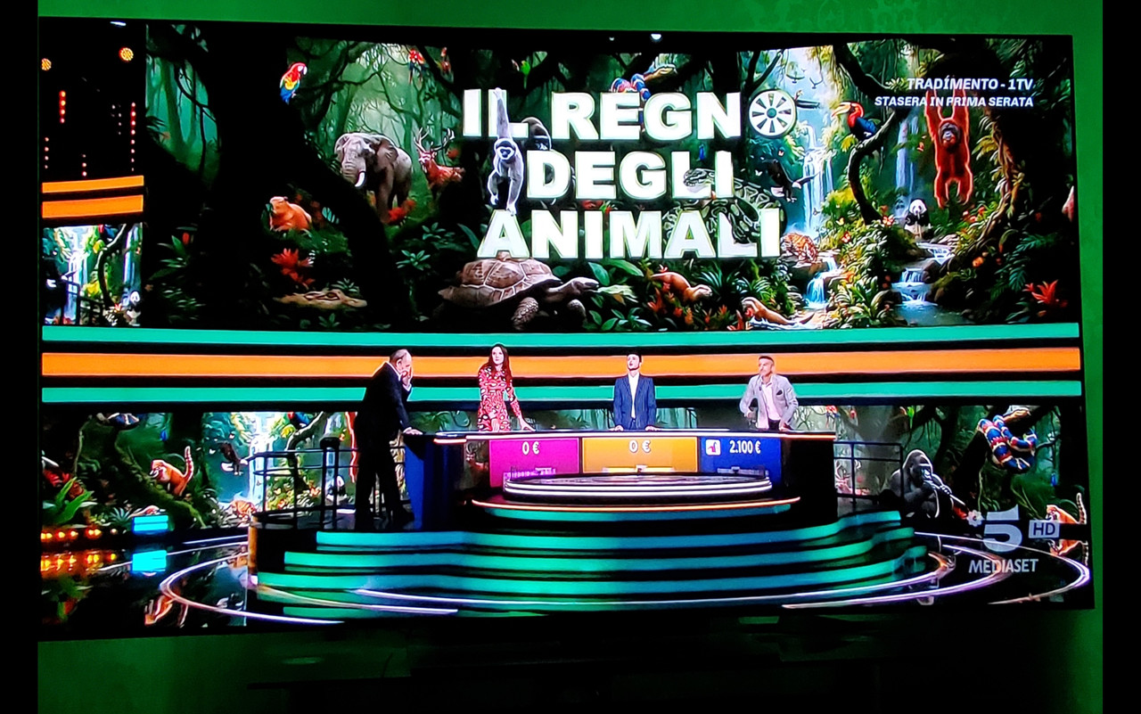 Screenshot 20251114 211948 Gallery