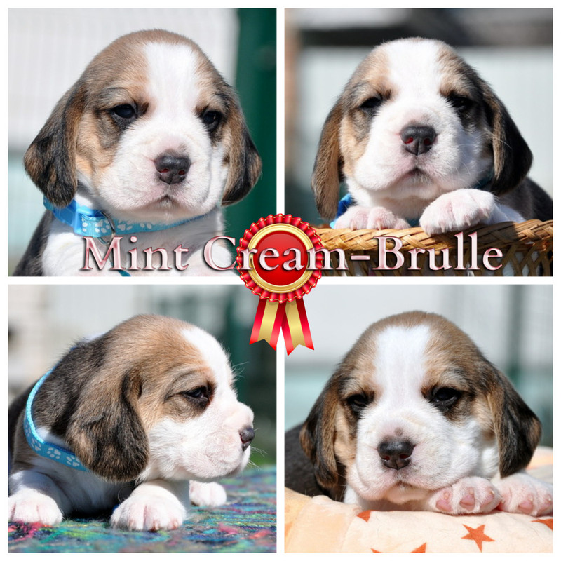 !!!!!!!!!!!!!!!!!!!!nMyCollages(18)b