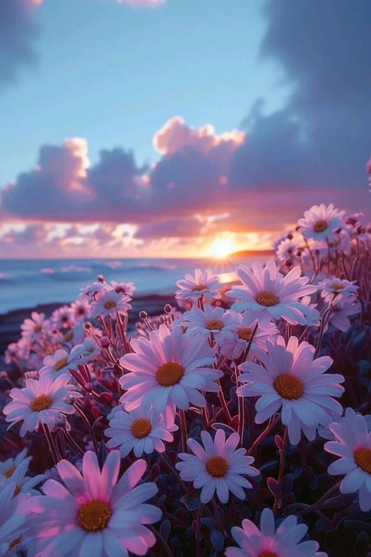 Screenshot_20240424_213608_Threads