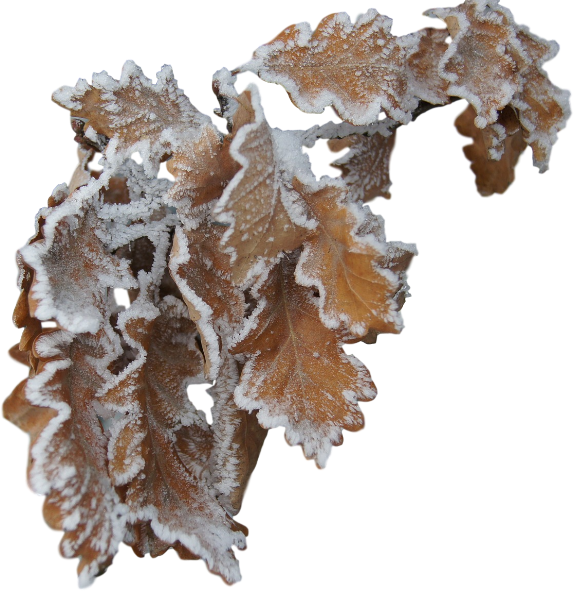 Clockwork Xmas (107)