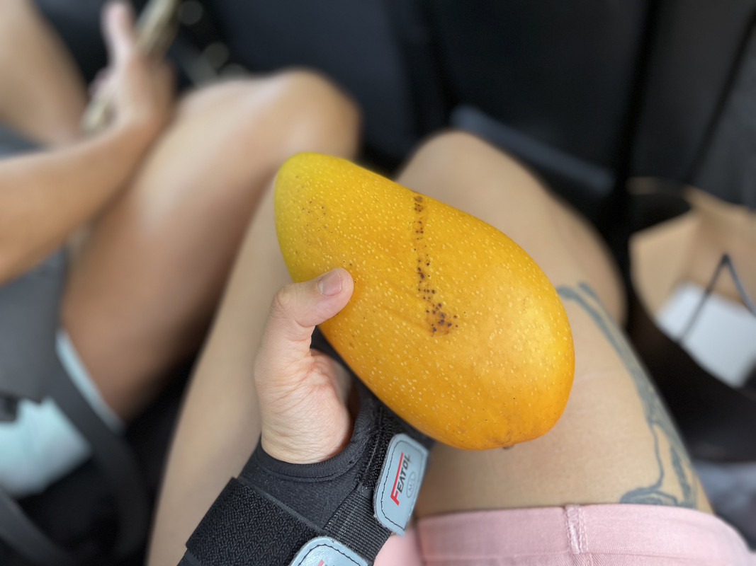 64EE911C-A0C2-405F-870D-3248424E75B5