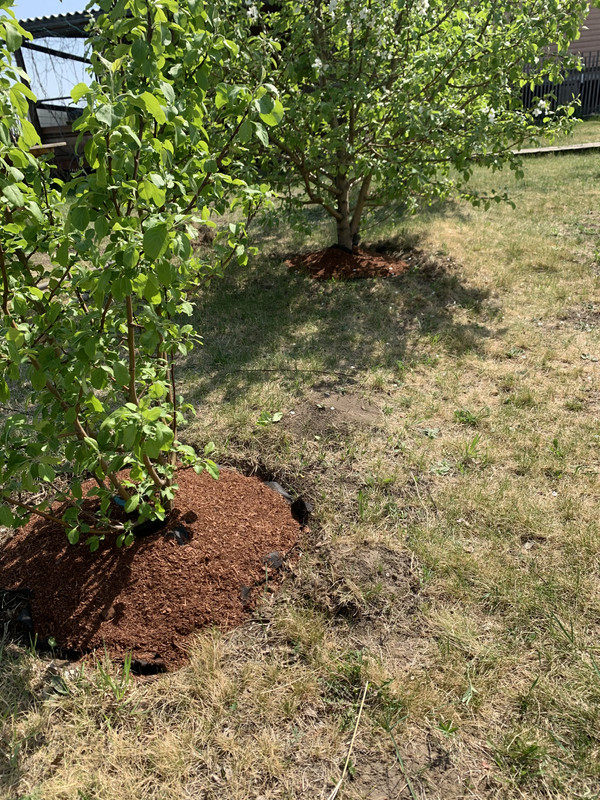 C3E99250-1C9C-42D2-81CC-5873D0E2B709