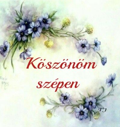 koszi