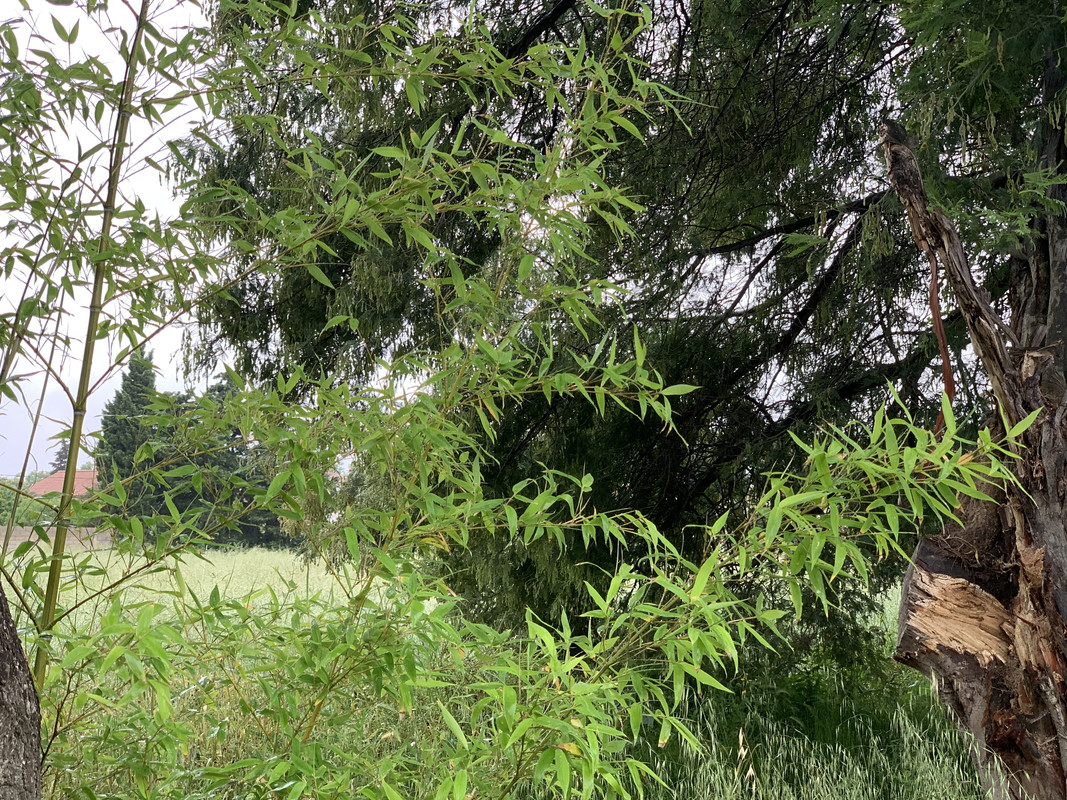 418042AA-011E-4298-B484-92534A154FDC