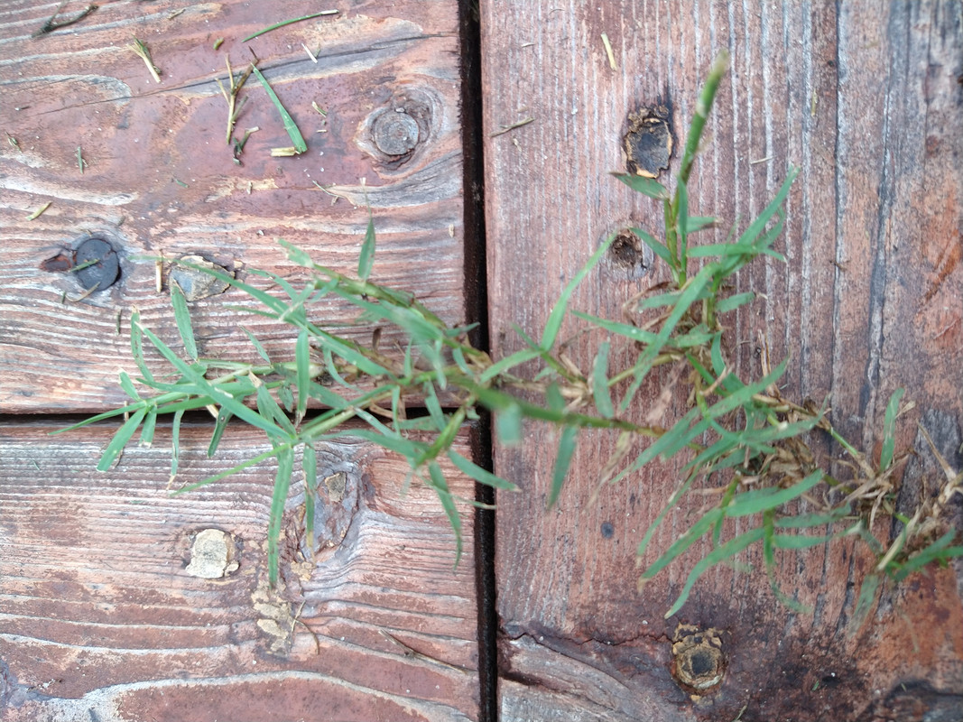 IMG_20210620_135204505