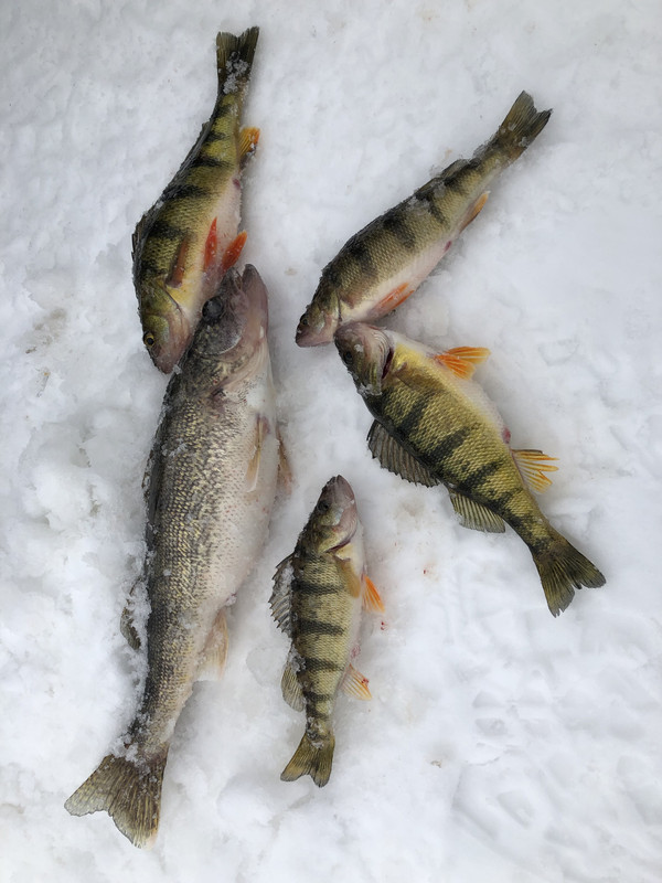 4C09BC2E-3F25-4B5A-843F-167FF81CFF8A