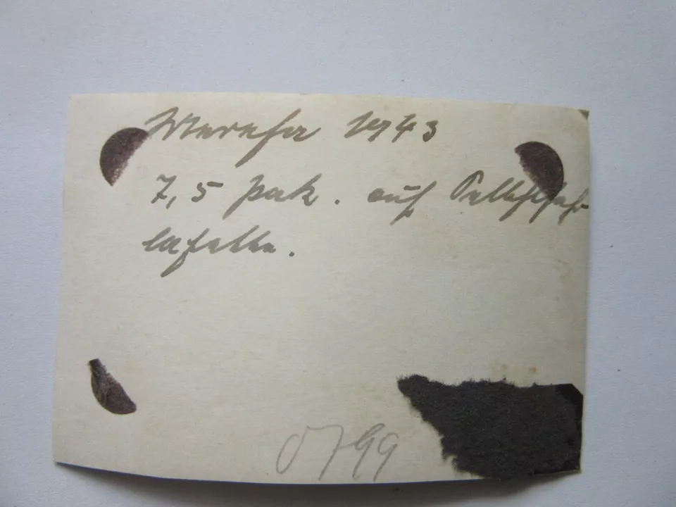 Foto WH Panzer Stug Panzerjäger Marder III Winter Camo 10 Abschussringe Kennung (1)