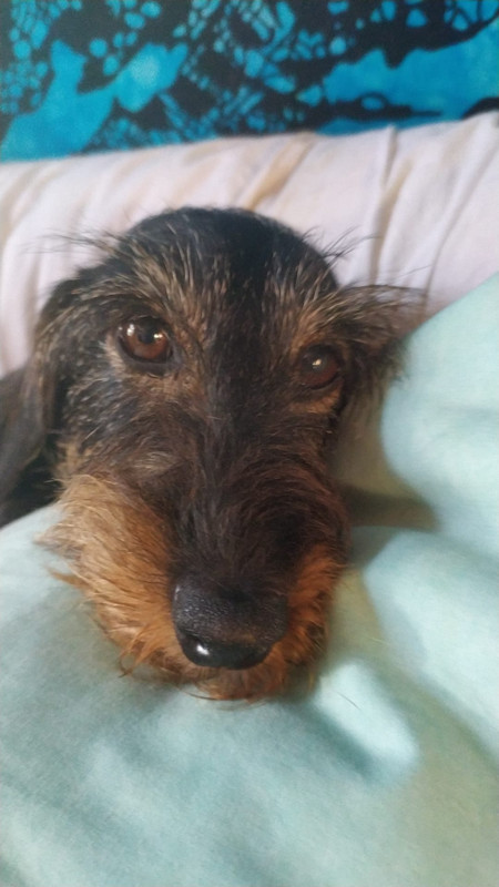 [Image: IMG-20220728-WA0002.jpg]