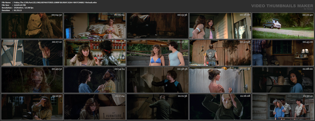 Friday.The.13th.Part.III.1982.REMASTERED.1080P.BLURAY.X264-WATCHABLE-Vietsub.mkv