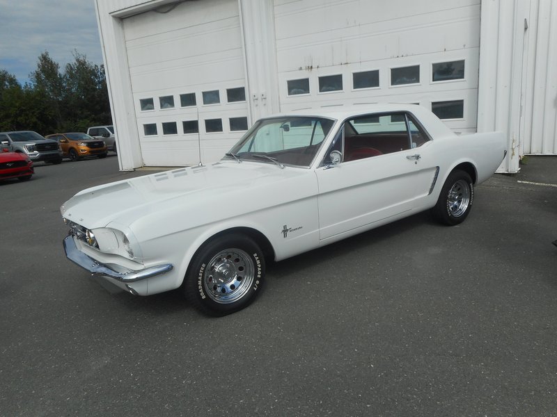 Rendez-Vous Mustang Cliche Auto Ford - 14 août 2022 Cliche2022-59