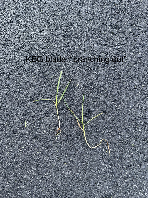 D23417CB-933B-49C0-BFDA-4E96A2BBAC4A