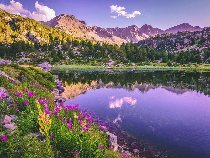 Andorra y sus pueblos-2015 - Blogs de Andorra - Introducción e historia de Andorra (4)