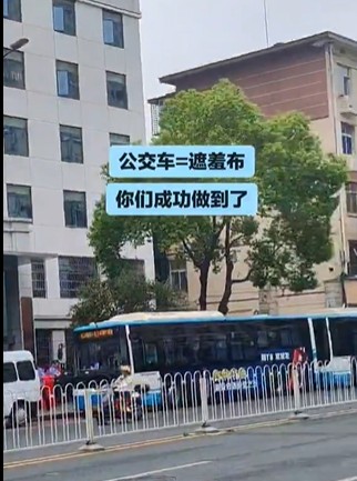 https://i.postimg.cc/Bv4jgP1M/imige-7.jpg