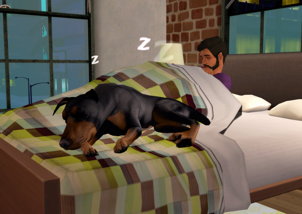 Sims2-EP9-RPC-2022-07-08-21-14-49-49