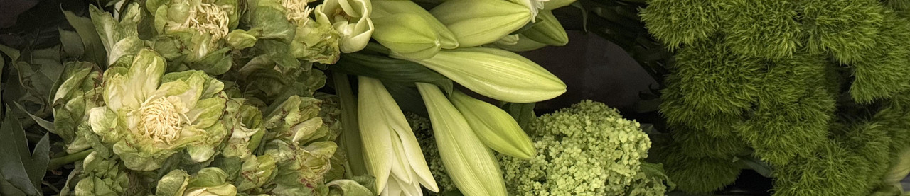 Like Art — Весна 2026