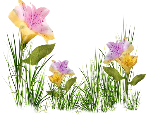 KBK_InTheSpring (37)