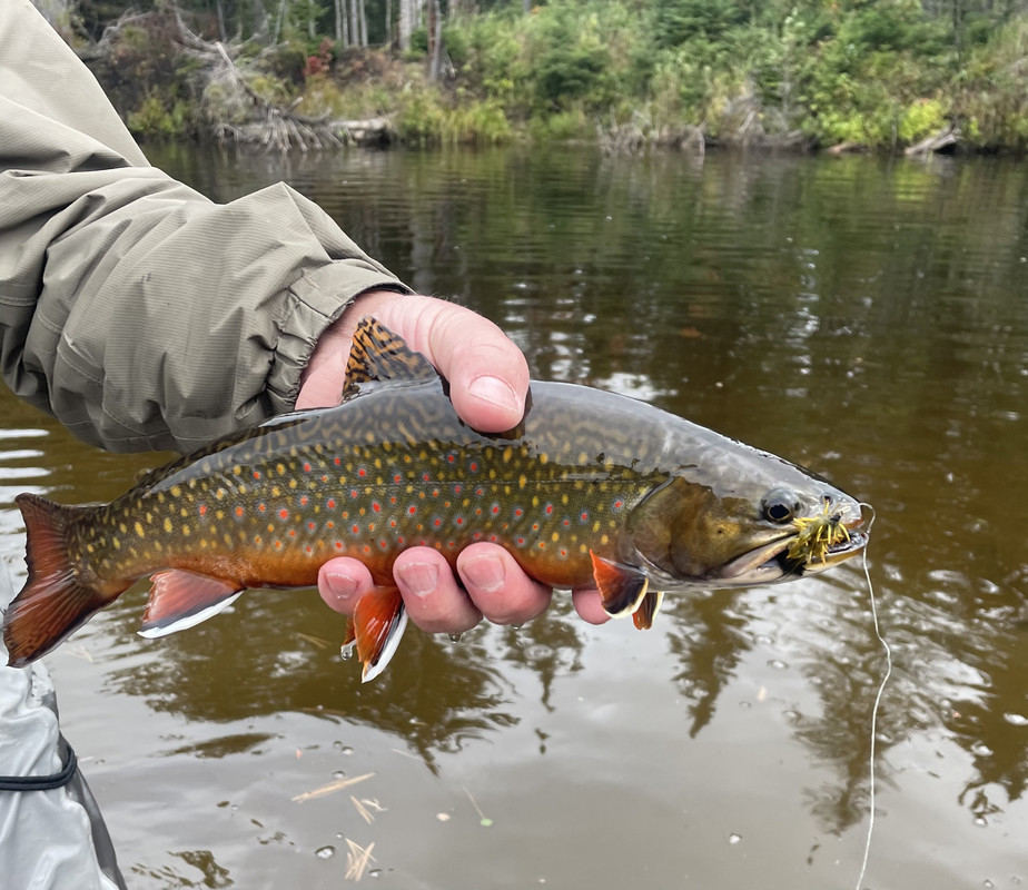 1710B4D6-9319-469E-8458-F879304B3245