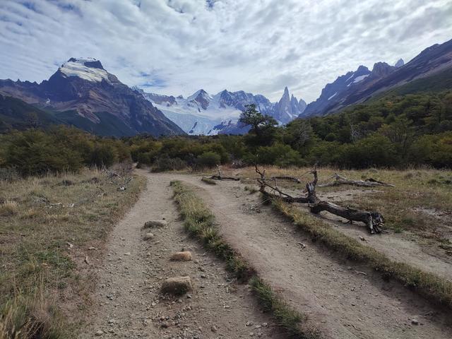 SENDERO A LAGUNA TORRE Y MIRADOR MAESTRI. Chalten - ARGENTINA INFINITA II/ TORRES DEL PAINE (4)