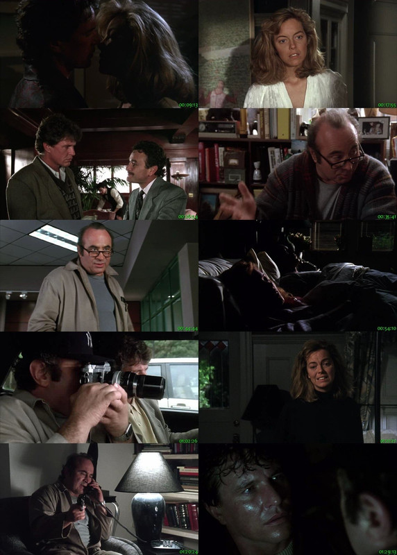 Shattered (1991) English BluRay 480P 720P x264 250MB 1.2GB