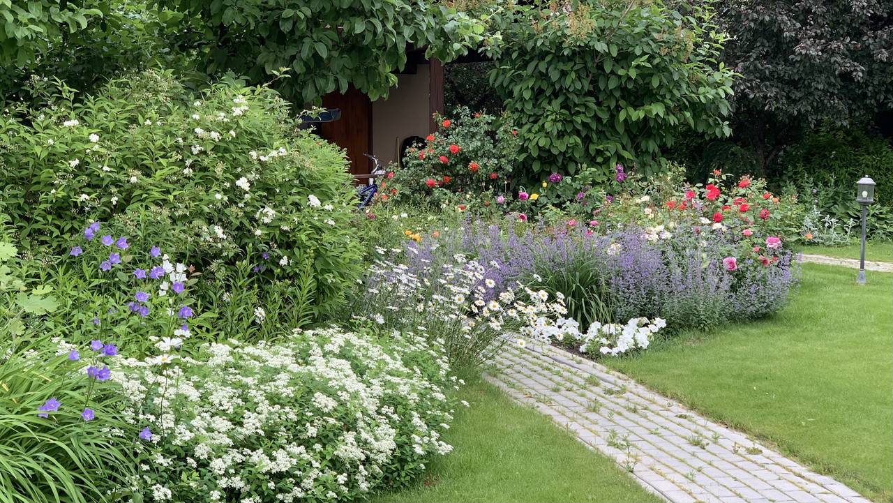 1F4FD236-BADE-4A22-9393-E20BD24045C5