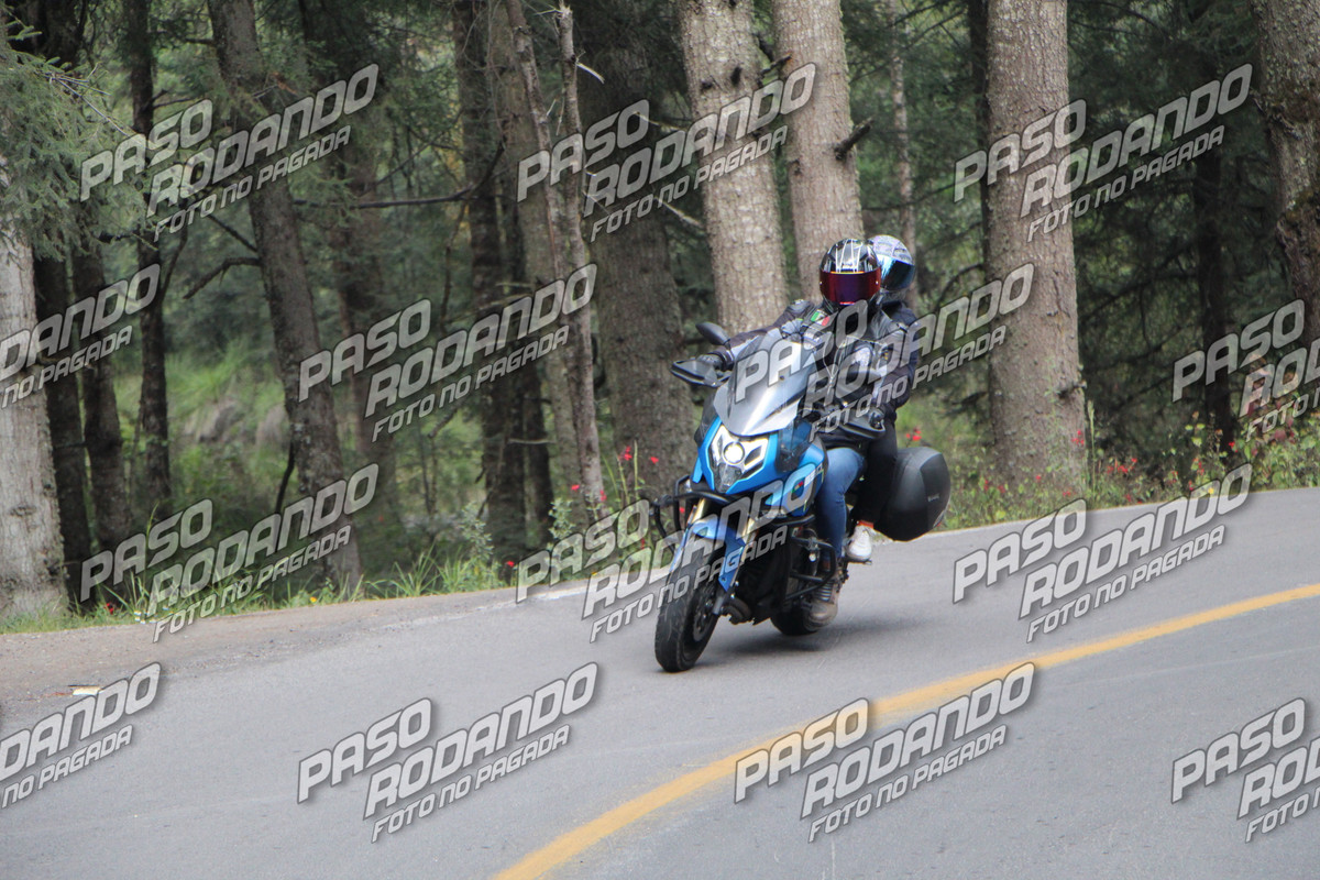 IMG 1093 wm 18213 39999999944 watermarked — Postimages