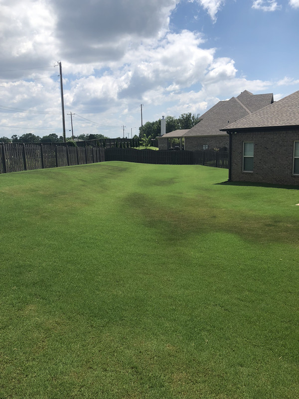 46ED0E5E-9E69-4EEC-8DEE-8D272B9DE47F