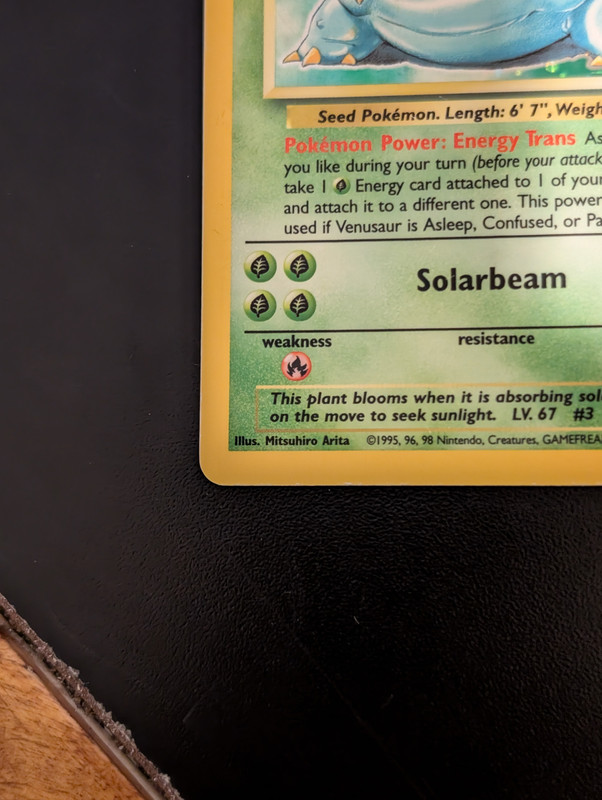 PXL_20250609_155033157