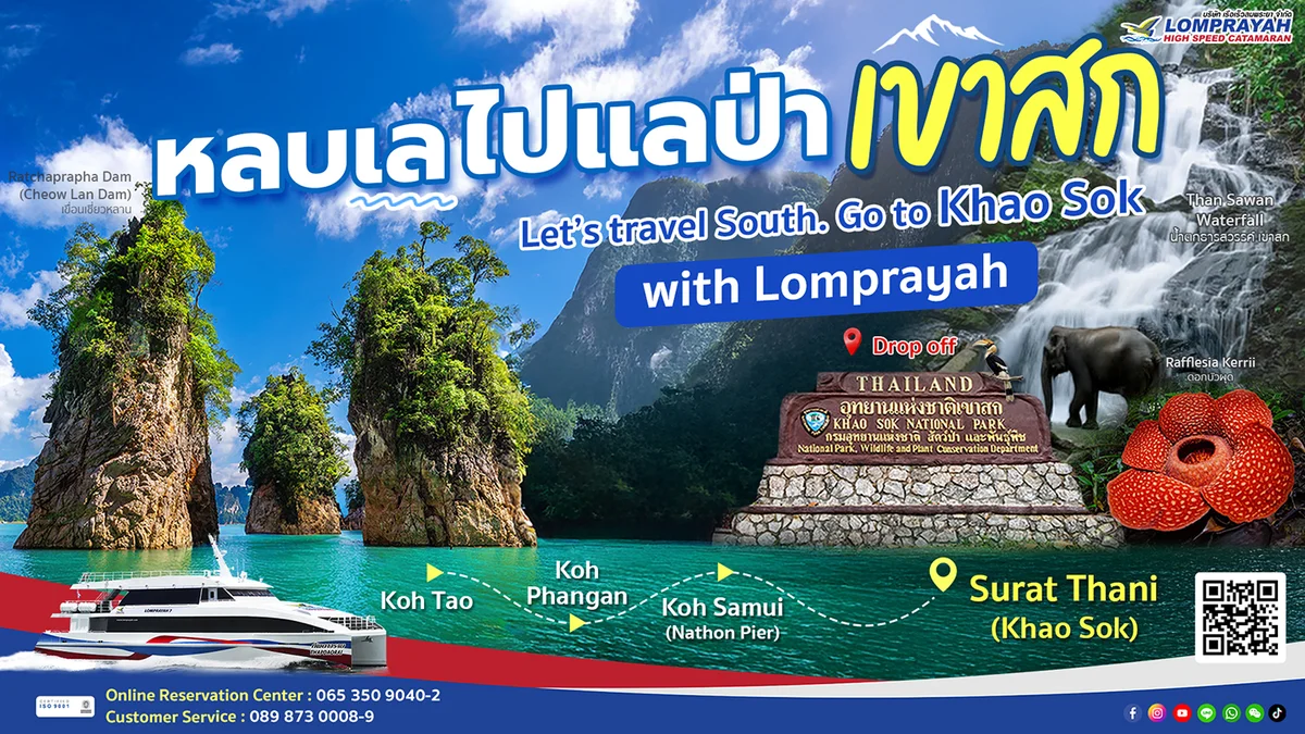 🌊🌿Escape the sea and explore the forest at Khao Sok National Park with Lomprayah