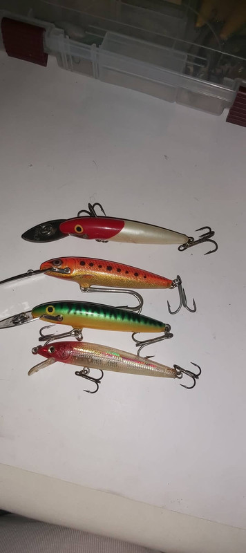 [vendo] artificiali rapala 280828290-983297272341014-6602058280819901861-n