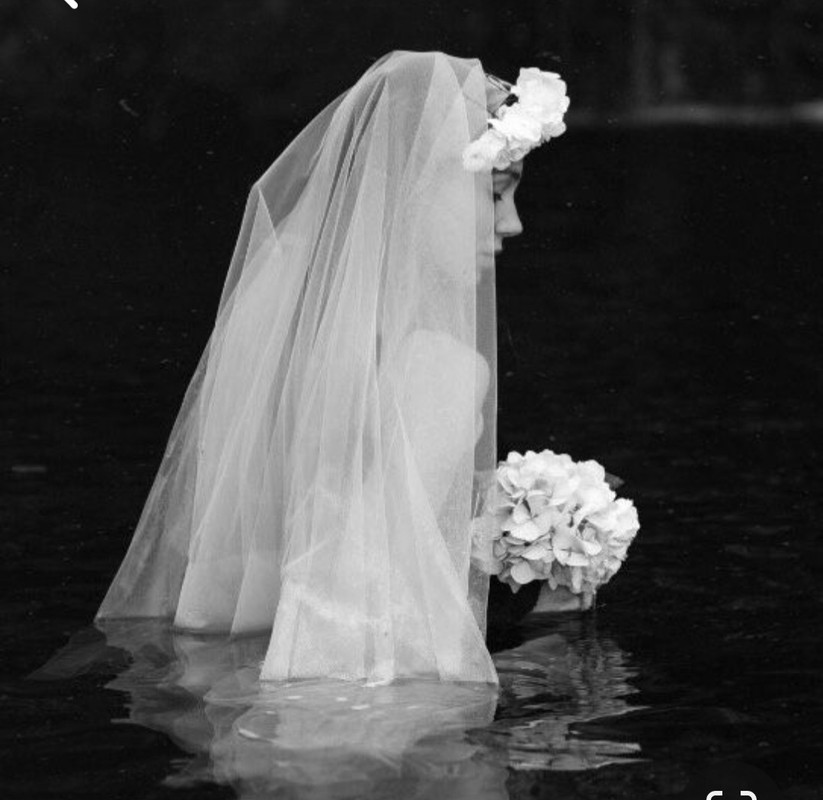 Screenshot_20240130_132404_Pinterest