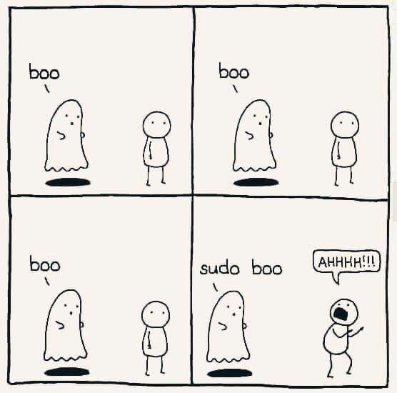 sudo.jpg